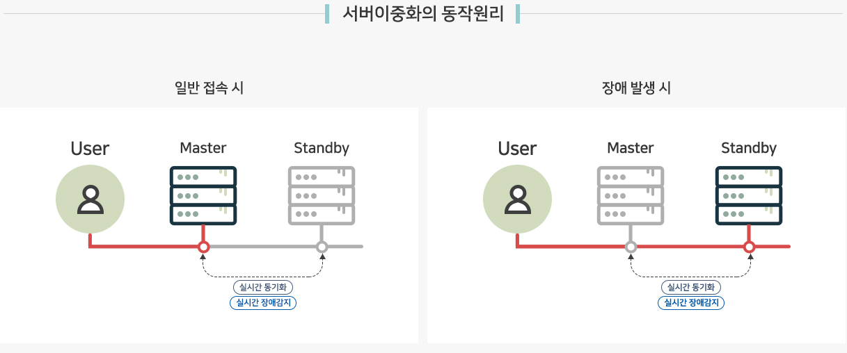 서버이중화의 필요성